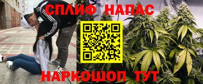 мдпв Кинель