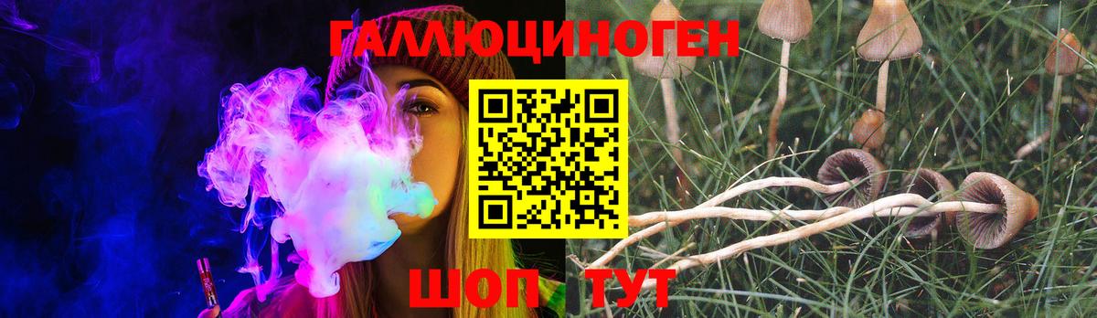 Чита  Псилоцибиновые грибы Psilocybe  Вход с VPN 